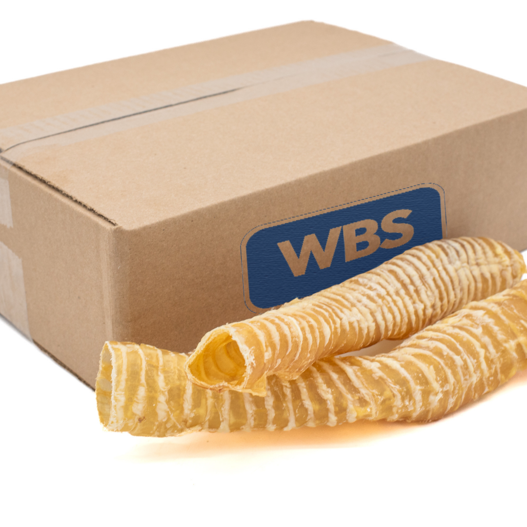 12 Inch Beef Trachea