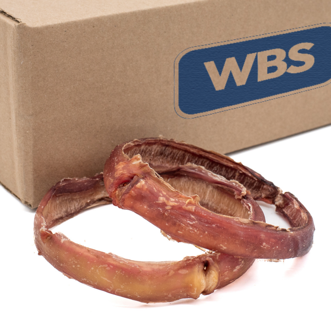 Large Bully Stick Ring