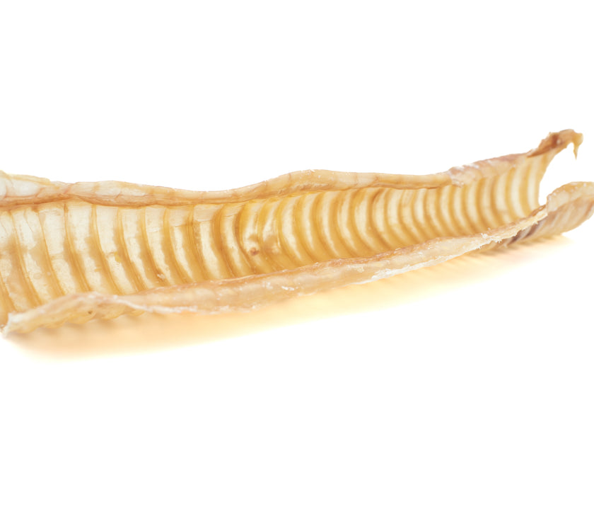 12 Inch Beef Trachea