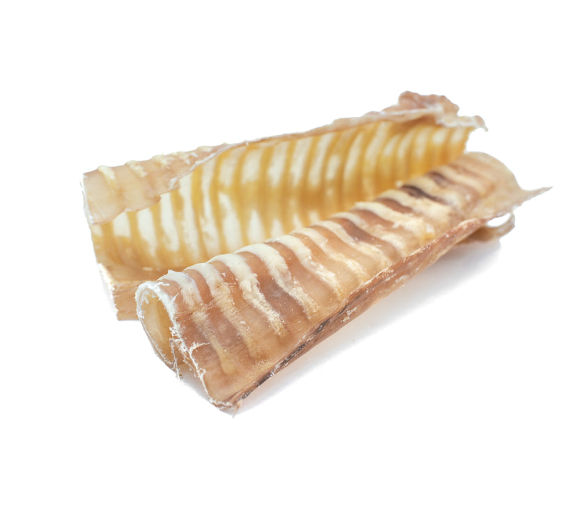 6 Inch Beef Trachea