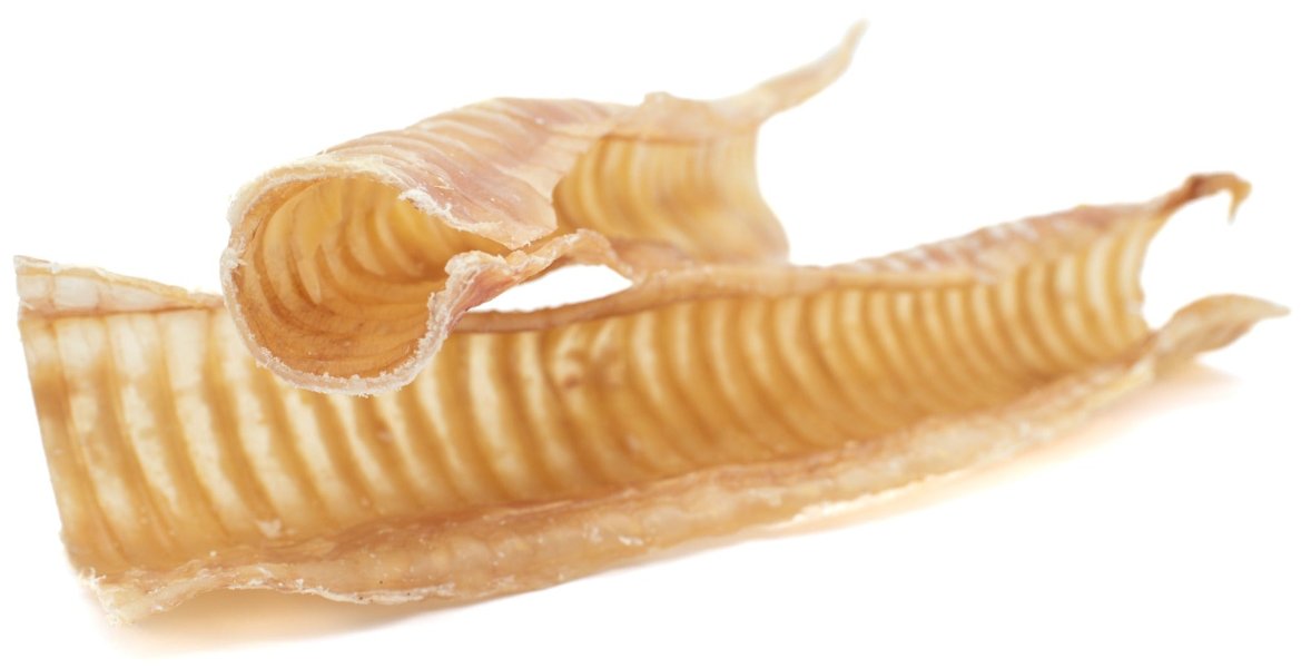 12 Inch Beef Trachea