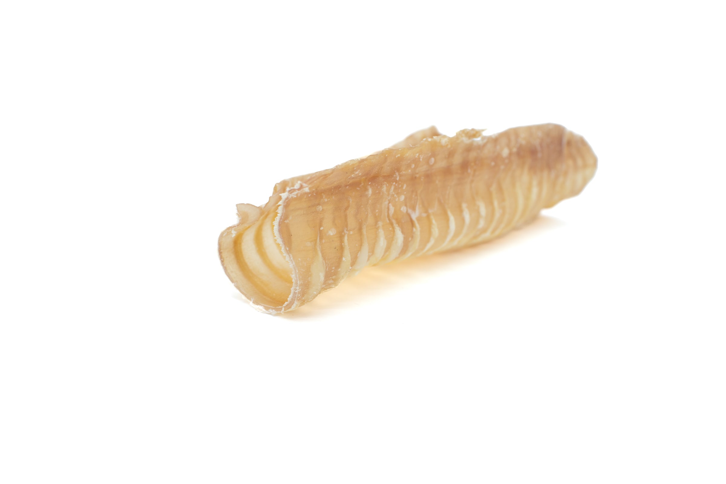 12 Inch Beef Trachea