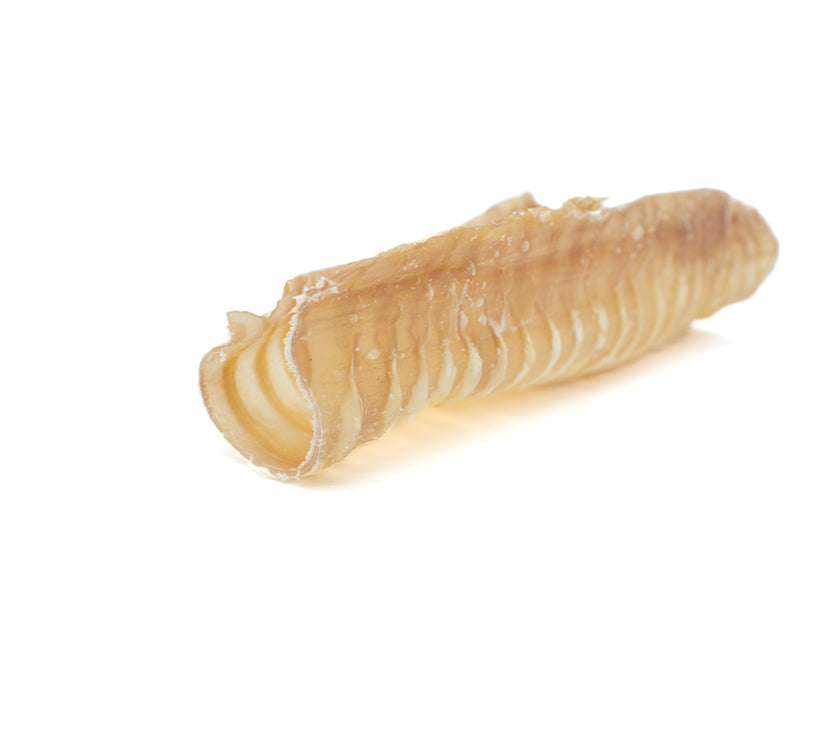 12 Inch Beef Trachea