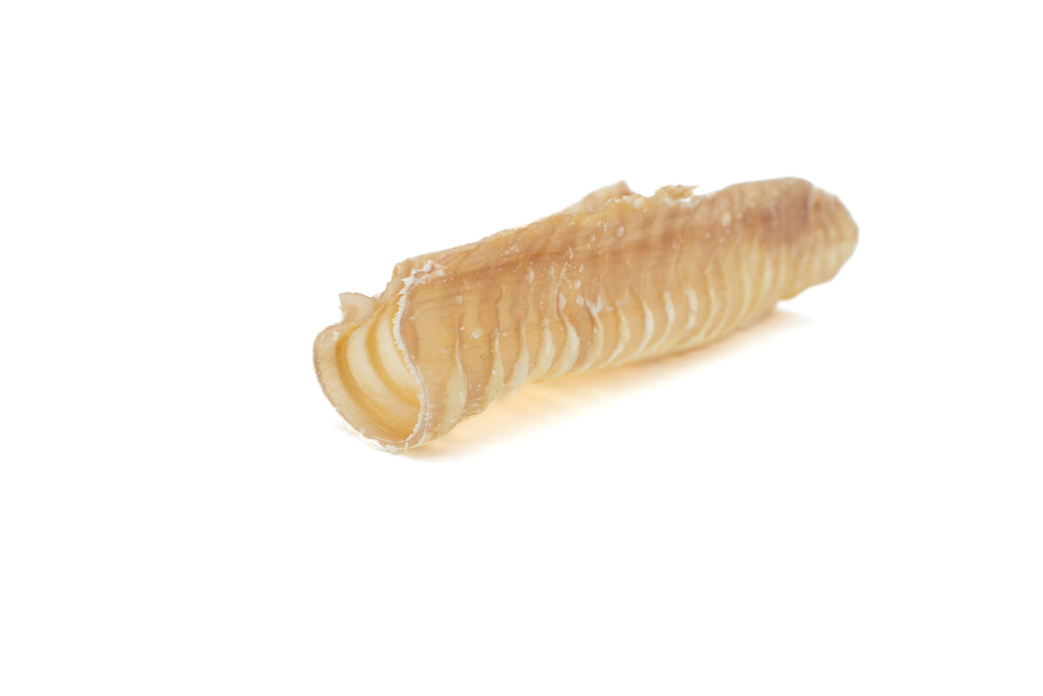 12 Inch Beef Trachea