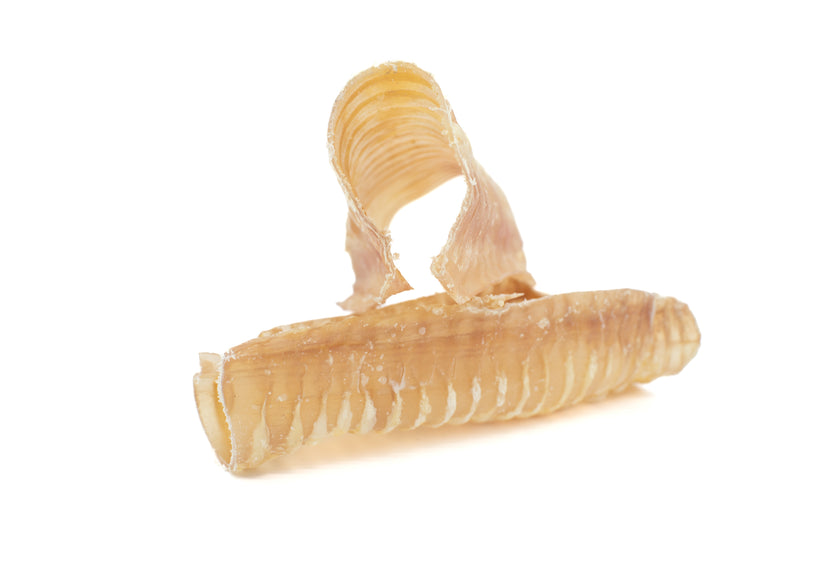 6 Inch Beef Trachea
