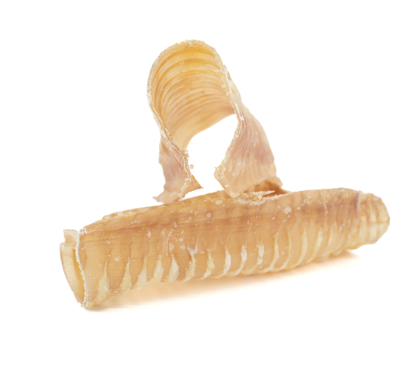 6 Inch Beef Trachea