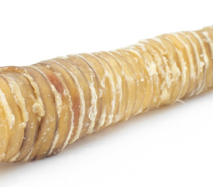 12 Inch Beef Trachea